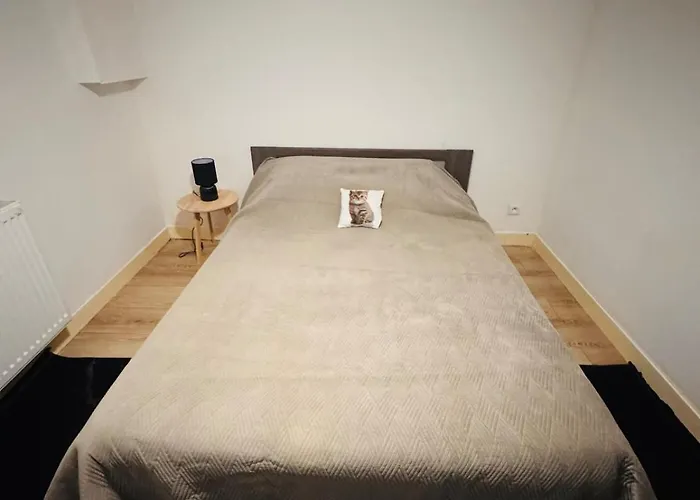 T3 Ancenis Gereon Apartamento